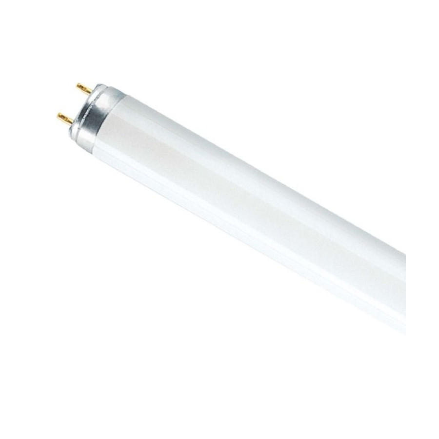 Køb 43cm Osram L 15W 830 Lumilux - varm hvid BILLIGT på discosupport.dk