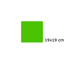 Grøn 19x19 cm farvefilter