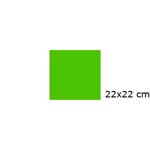 Grøn 22x22 cm farvefilter