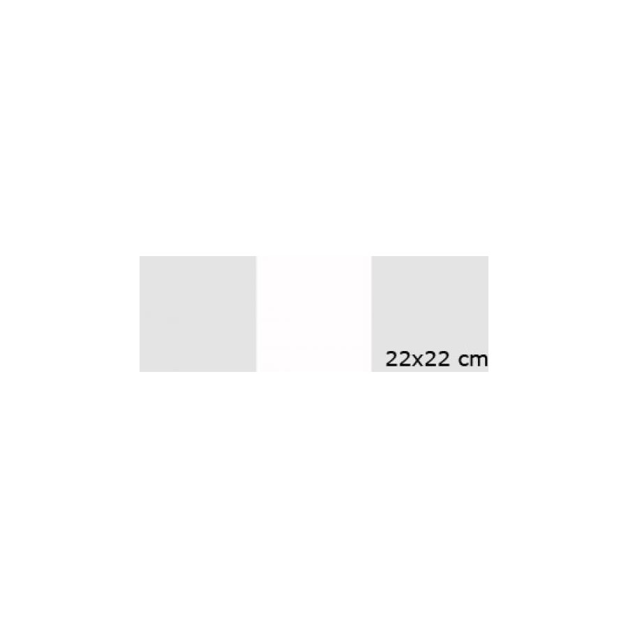 Diffusionsfilter 22x22 cm