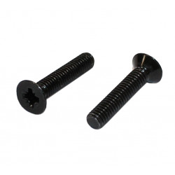 Køb M6x25mm Sorte Undersænket skruer - PZ-2 - Pose med 15stk - Billige sorte skruer