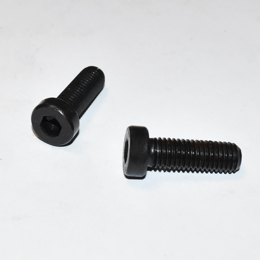 M10x20mm Lavhoved Unbrakobolt - lavt cylinderhoved - ubehandlet - discosupport.dk