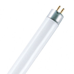 13W Philips Master TL MIni lysstofrør - 52cm - 840 kold hvid - discosupport.dk