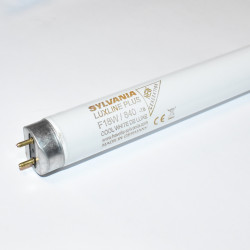18W Sylvania Luxline Plus T8 F18W-840 lysstofrør 59cm - Kold Hvid 4000K - discosupport.dk