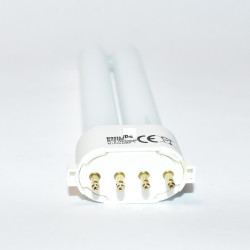 Philips Master PL-S 4P 7W - discosupport.dk