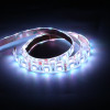 5M LED-Strip RGB - Malmbergs Pro -  12V DC - IP65 - 5 meter - discosupport.dk