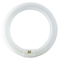 Osram L 32W/840 Circular Lumilux Cool White cirkulært lysstofrør 30cm - Køb nemt og hurtigt på discosupport.dk!