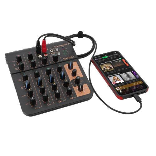 USB-C til RCA Lydkabel - Digital-Analog Converter - 2m - Køb på discosupport.dk